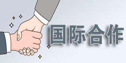 新澳门六合彩